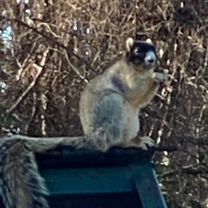 Meet your Posher, Evan